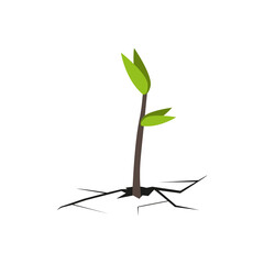 Strength and power of nature. A crack in the ground and a plant. Green young sprout, the grass grows through dry desert soil. Environment. Vector illustration
