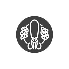 Squid plate, seafood vector icon