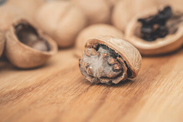 spoiled walnut. mold on nuts.