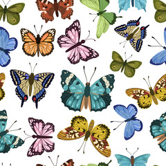 Butterfly seamless pattern, spring and summertime