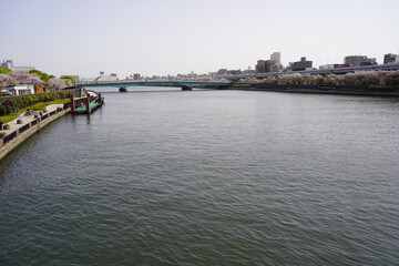 Naklejka premium view of the river and cherry blossoms 5