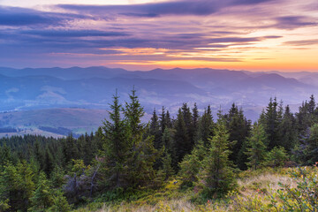 Naklejka na ściany i meble Very beautiful dawn in the Ukrainian Carpathian mountains in summer.