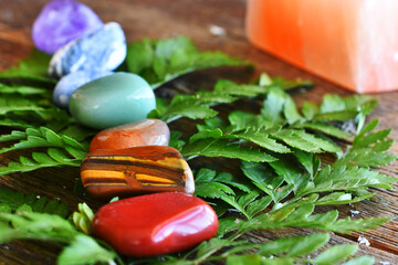 A close up image of chakra healing crystals on a fern leaf with a selenite candle.