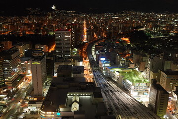 Fototapeta na wymiar Sapporo City