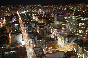 Sapporo City



