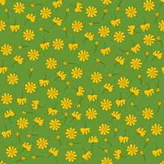 Seamless floral pattern with hand draw spring flower