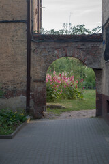 In the morning, brickwork arch connects corners of old buildings with shabby walls with decorative plaster. In front of archway tiled courtyard, behind arch growth of grass and pink mallow flowers.