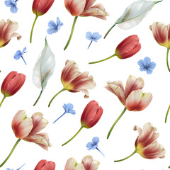 Seamless pattern of realistic tulip and white and blue flowers on white background