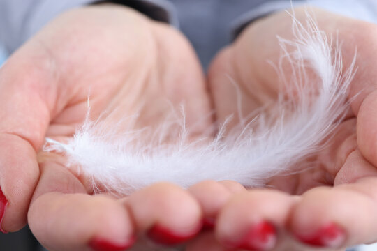 Woman Holding Soft White Feather In Her Hands Closeup