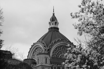 centraal station antwerpen with flower blossem