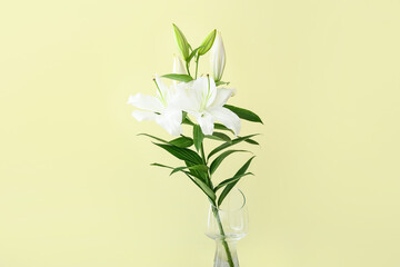Vase with beautiful lily flowers on color background