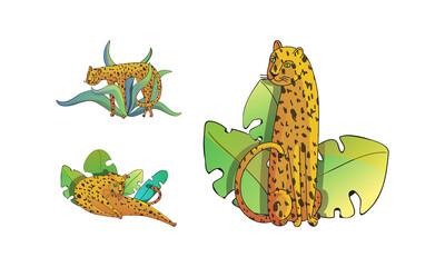 Spotted Leopard with Yellowish Skin and Long Body Lying in Tropical Leaves Vector Set
