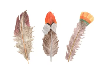 Papier Peint photo Plumes Ensemble de plumes vibrantes. Plume d& 39 oiseau isolé sur fond blanc. Ailes de style bohème. Illustration à l& 39 aquarelle.
