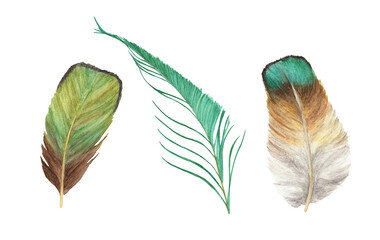 Vibrant feather set. Bird feather isolated on white background. Boho style wings. Watercolor illustration. 