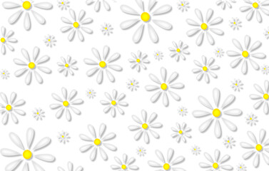 beautiful illustration of daisies on a white background