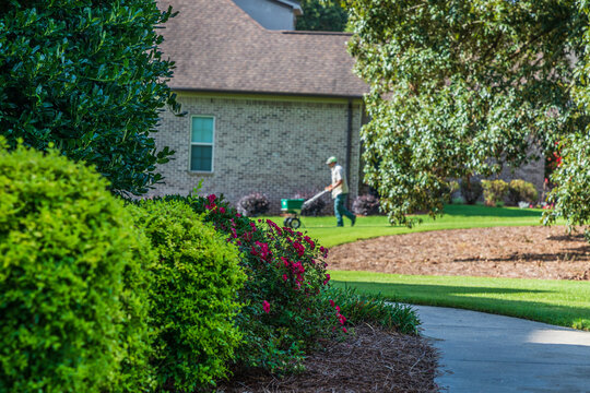 Beautiful Landscaping Around The Front Of A House With A Landscaper Using A Spreader To Fertilize The Lawn In The Background