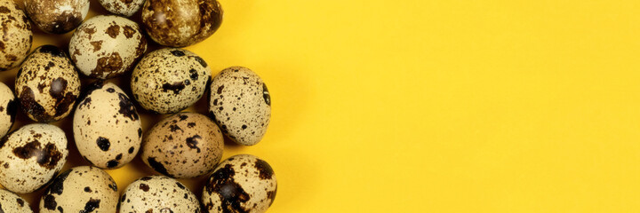 The easter background with the quail eggs on the trendy yellow background with the copy space for your text, banner.