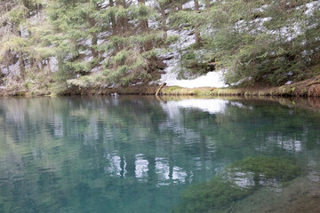 Waldsee umringt von Bäumen im thüringer Wald