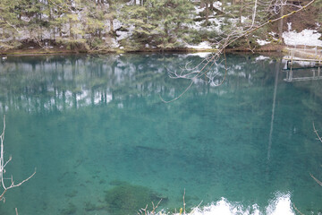 Waldsee umringt von Bäumen im thüringer Wald