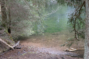 Wunderschöner Waldsee auf einer Lichtung im wald mit Spiegelung der Bäume