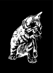 Small kitten sitting,illustration on black beckground for art ,vector