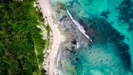 aerial shot of tropical beach
