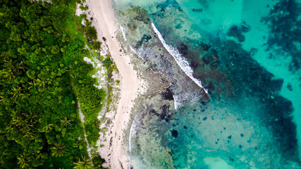 aerial shot of tropical beach © Rydem