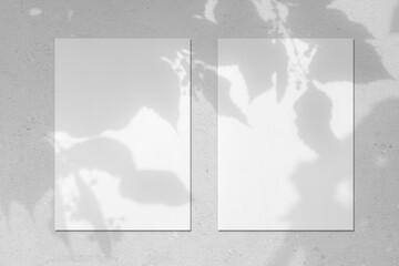 Two empty white vertical rectangle poster or card mockups with soft linden tree leaves shadows on neutral light grey concrete wall background. Flat lay, top view