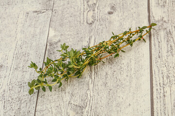 Aroma Fresh green thyme branch