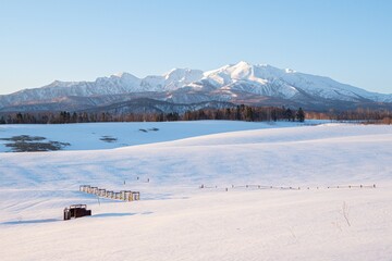 春の上川町 早朝の大雪山
