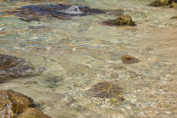 Obraz premium Jellyfish floating in the calm, clear water of Prajjet Bay on a warm fall day in Malta.