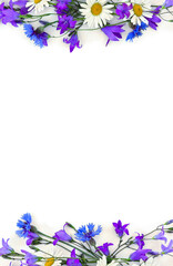 Frame of violet flowers bellflowers, chamomiles and blue cornflowers on a white background with space for text. Top view, flat lay