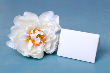 White peony and empty card on the blue surface.Template for invitation of greeting