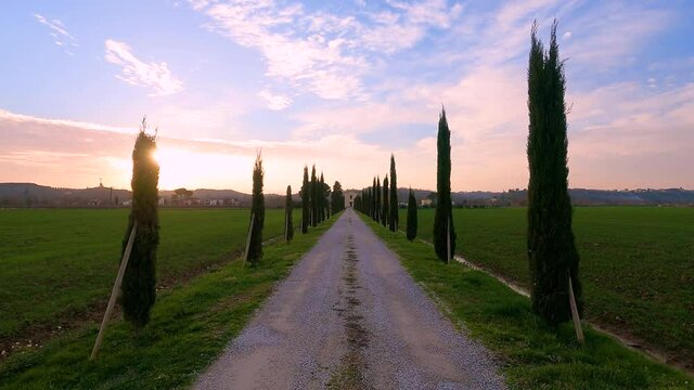 Passeggiare lungo il viale di cipressi in toscana al tramonto