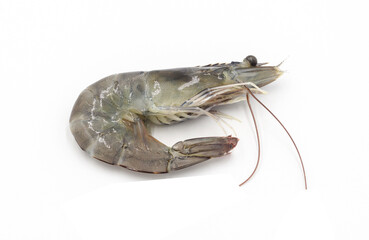 Fresh shrimp isolated on white background seafood tiger prawn