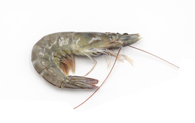 Fresh shrimp isolated on white background seafood tiger prawn