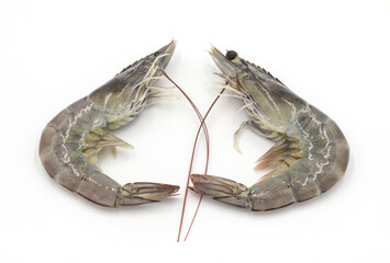 Fresh shrimp isolated on white background seafood tiger prawn
