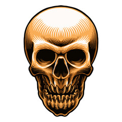 Skull head hand drawn vector