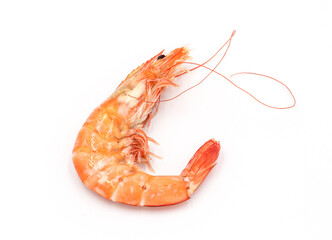 Fresh shrimp isolated on white background seafood tiger prawn
