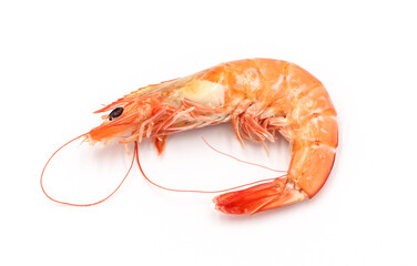 Fresh shrimp isolated on white background seafood tiger prawn