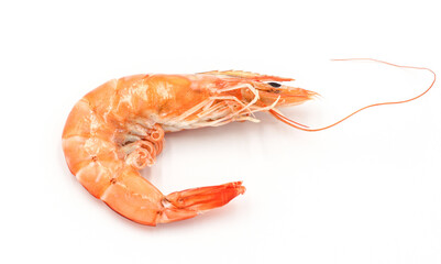 Fresh shrimp isolated on white background seafood tiger prawn