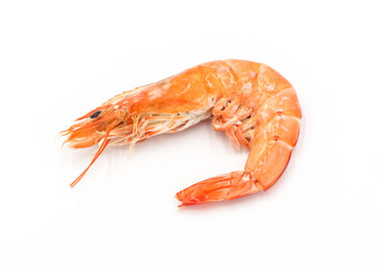 Fresh shrimp isolated on white background seafood tiger prawn