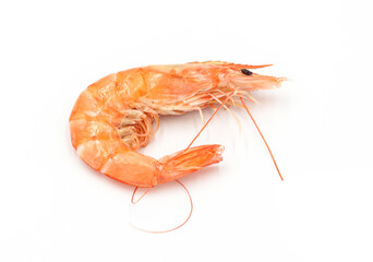 Fresh shrimp isolated on white background seafood tiger prawn