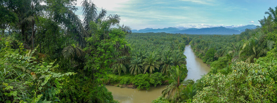 Scenic landscape panorama on river and oil palm plantation with Gunung Leuser National Park mountains in the background, North Sumatra, Indonesia