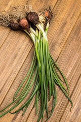 Green onions with roots and soil