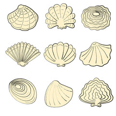 set of yellow ink seashells