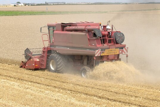 รูปภาพMoisson เลือกดูภาพถ่ายสต็อก เวกเตอร์ และวิดีโอ16,677 Adobe Stock