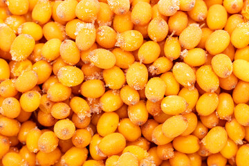 sea buckthorn berries as background