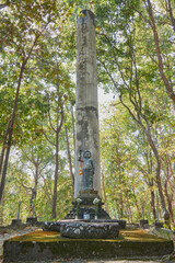 Phayao, Thailand - Dec 13, 2020: Portrait Wide Angle The Birth of Buddha Statue on Forest Background in Wat Analayo Temple