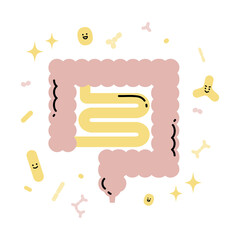 善玉菌とキレイな腸